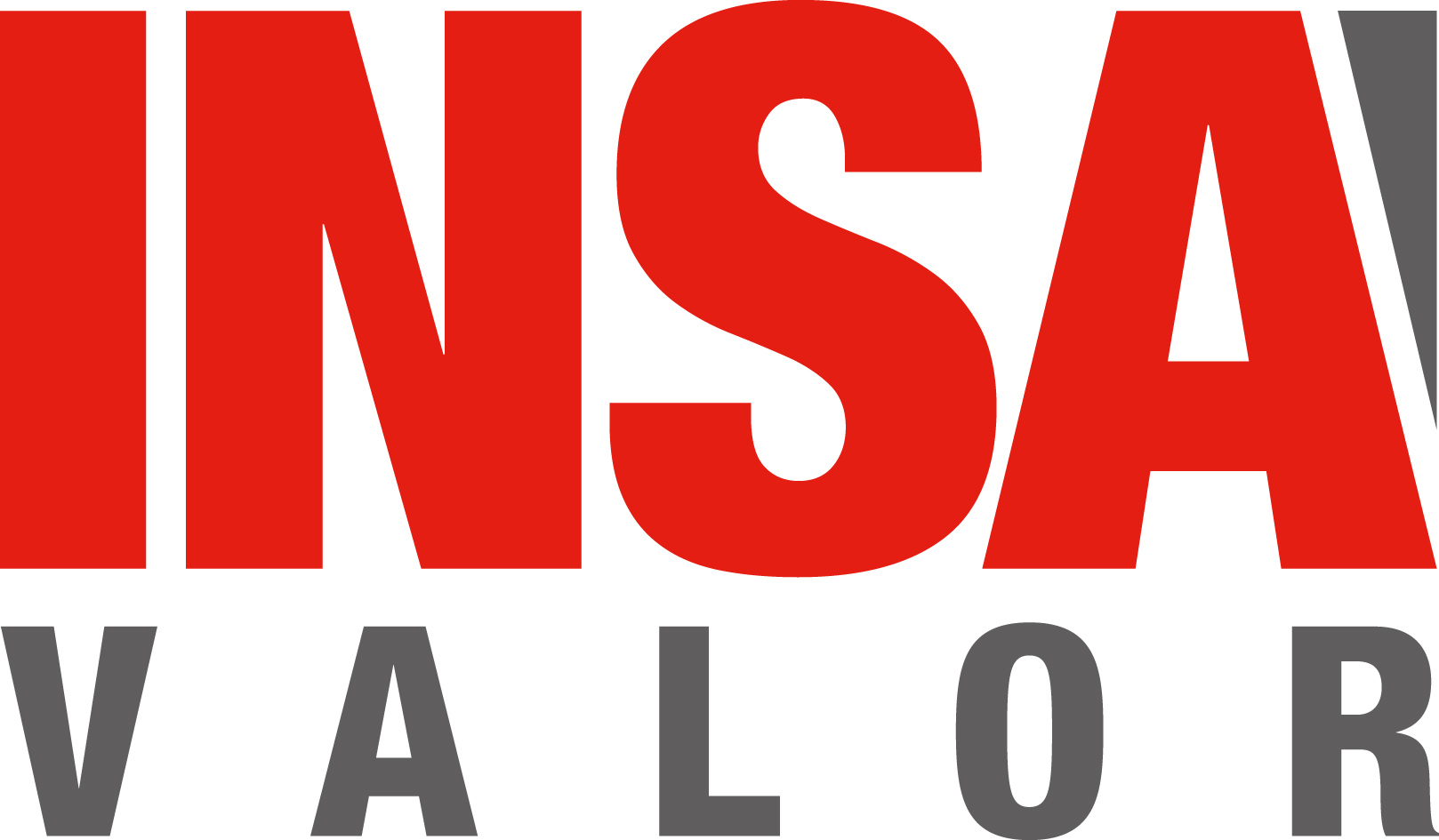 Insavalor (INSA Lyon)